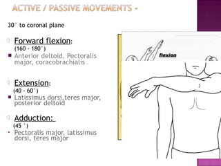 30° to coronal plane

   Forward flexion:
    (160 - 180°)
   Anterior deltoid, Pectoralis
    major, coracobrachialis

   Extension:
    (40 - 60°)
   Latissimus dorsi,teres major,
    posterior deltoid

   Adduction:
    (45 °)
   Pectoralis major, latissimus
    dorsi, teres major
 