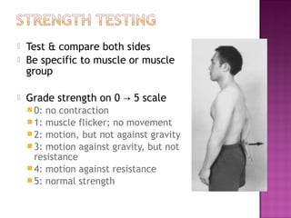    Test & compare both sides
   Be specific to muscle or muscle
    group

   Grade strength on 0 → 5 scale
     0: no contraction
     1: muscle flicker; no movement
     2: motion, but not against gravity
     3: motion against gravity, but not
      resistance
     4: motion against resistance
     5: normal strength
 
