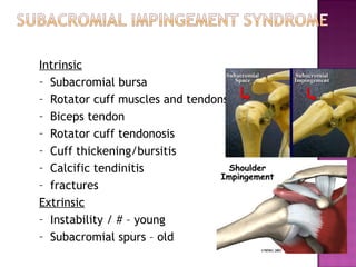 Intrinsic
– Subacromial bursa
– Rotator cuff muscles and tendons tears
– Biceps tendon
– Rotator cuff tendonosis
– Cuff thickening/bursitis
– Calcific tendinitis
– fractures
Extrinsic
– Instability / # – young
– Subacromial spurs – old
 
