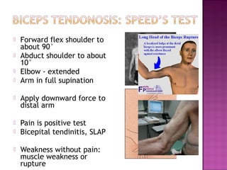    Forward flex shoulder to
    about 90°
   Abduct shoulder to about
    10°
   Elbow - extended
   Arm in full supination

   Apply downward force to
    distal arm

   Pain is positive test
   Bicepital tendinitis, SLAP

   Weakness without pain:
    muscle weakness or
    rupture
 