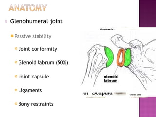    Glenohumeral joint

     Passive   stability

        Joint conformity

        Glenoid labrum (50%)

        Joint capsule

        Ligaments

        Bony restraints
 