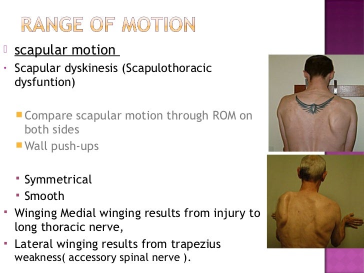 Shoulder examionation