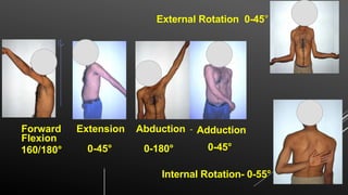Shoulder Examination.pptx all you want to know | PPTX