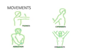 MOVEMENTS
FLEXION
EXTENSION
ADDUCTION ABDUCTION
 