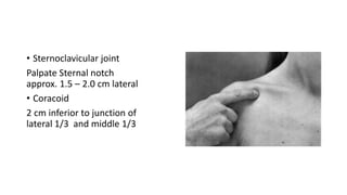 Shoulder examination | PPTX