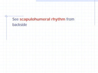 See scapulohumeral rhythm from
backside
 