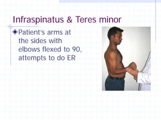Infraspinatus & Teres minor
 Patient’s arms at
 the sides with
 elbows flexed to 90,
 attempts to do ER
 