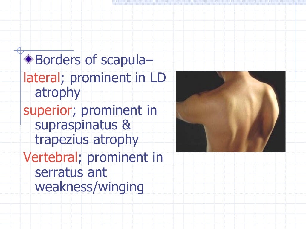 Shoulder examination