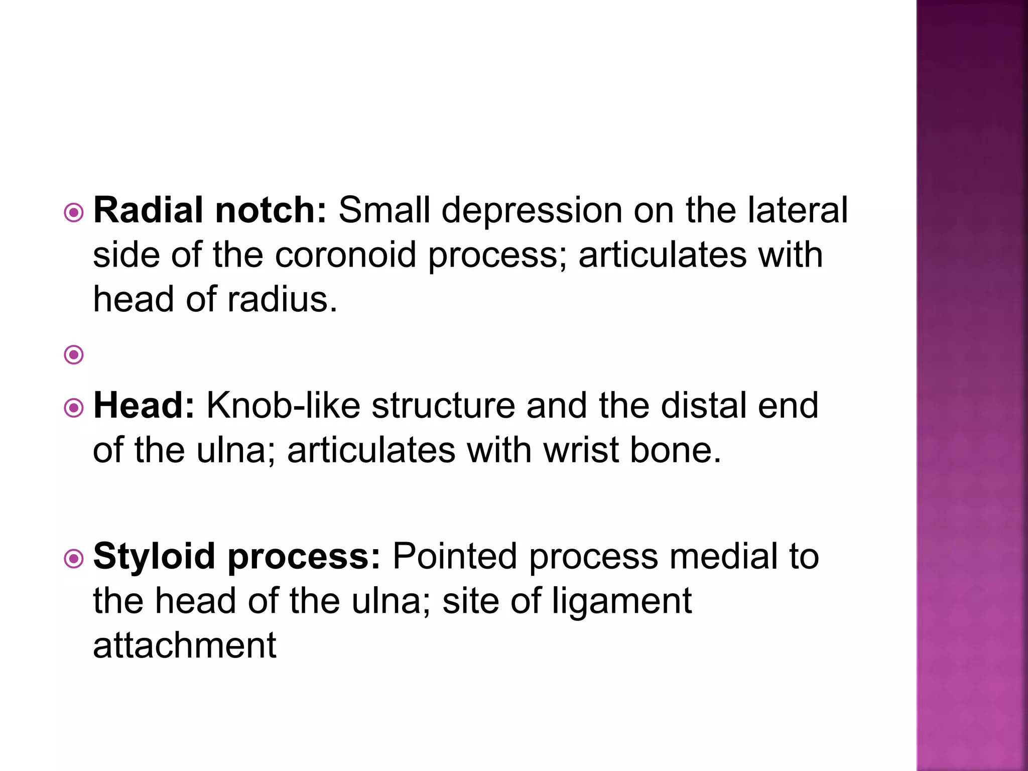  Radial notch: Small depression on the lateral
side of the coronoid process; articulates with
head of radius.

 Head: Knob-like structure and the distal end
of the ulna; articulates with wrist bone.
 Styloid process: Pointed process medial to
the head of the ulna; site of ligament
attachment
 