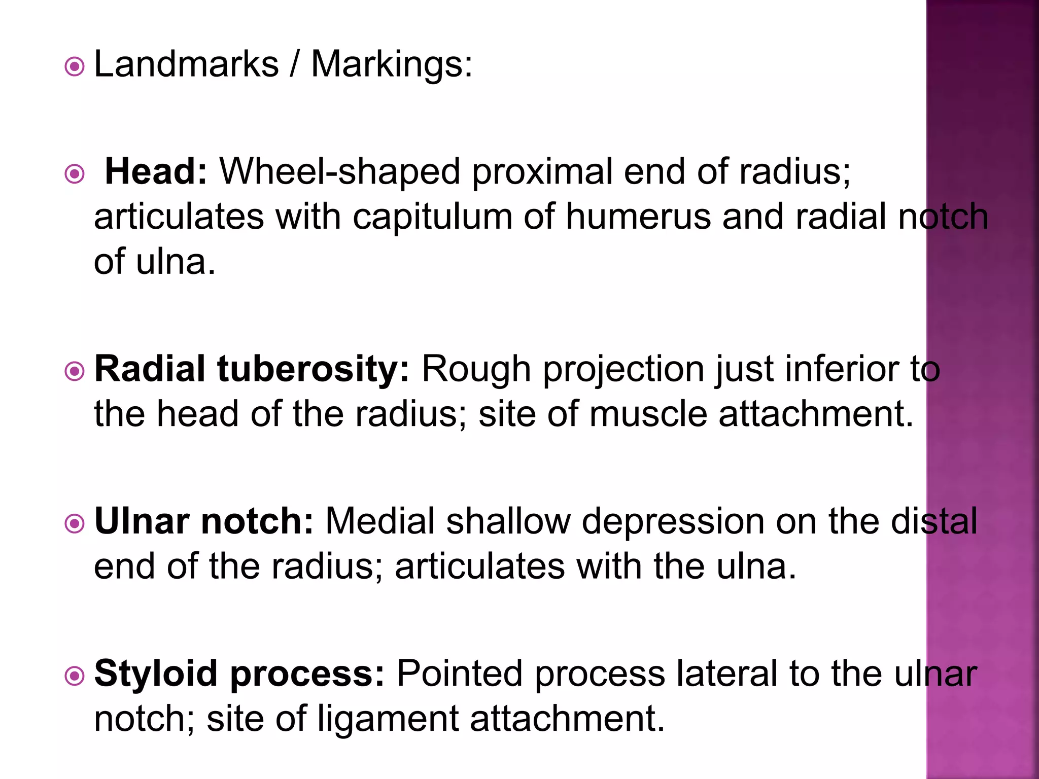  Landmarks / Markings:
 Head: Wheel-shaped proximal end of radius;
articulates with capitulum of humerus and radial notch
of ulna.
 Radial tuberosity: Rough projection just inferior to
the head of the radius; site of muscle attachment.
 Ulnar notch: Medial shallow depression on the distal
end of the radius; articulates with the ulna.
 Styloid process: Pointed process lateral to the ulnar
notch; site of ligament attachment.
 