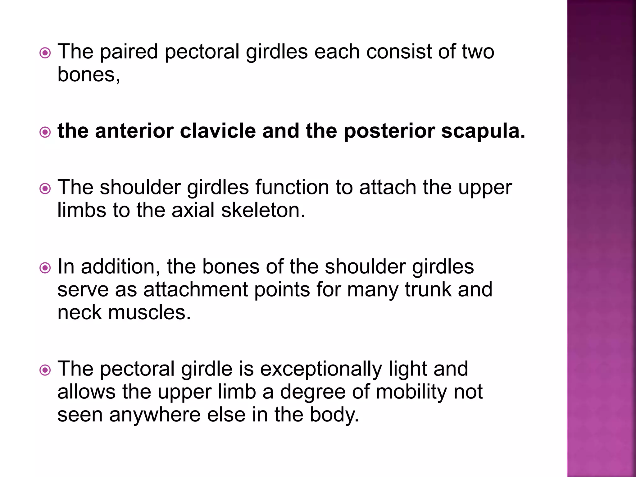  The paired pectoral girdles each consist of two
bones,
 the anterior clavicle and the posterior scapula.
 The shoulder girdles function to attach the upper
limbs to the axial skeleton.
 In addition, the bones of the shoulder girdles
serve as attachment points for many trunk and
neck muscles.
 The pectoral girdle is exceptionally light and
allows the upper limb a degree of mobility not
seen anywhere else in the body.
 