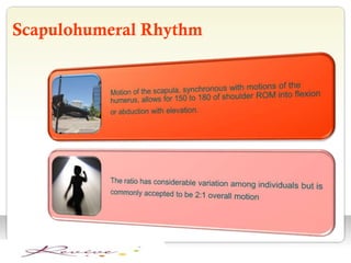 Scapulohumeral Rhythm
 