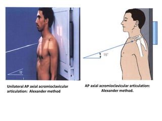 Shoulder girdle presentation | PPTX