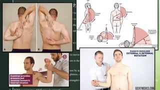 Scaption External Rotation shoulder impingement in sports physiotherapy | PPTX