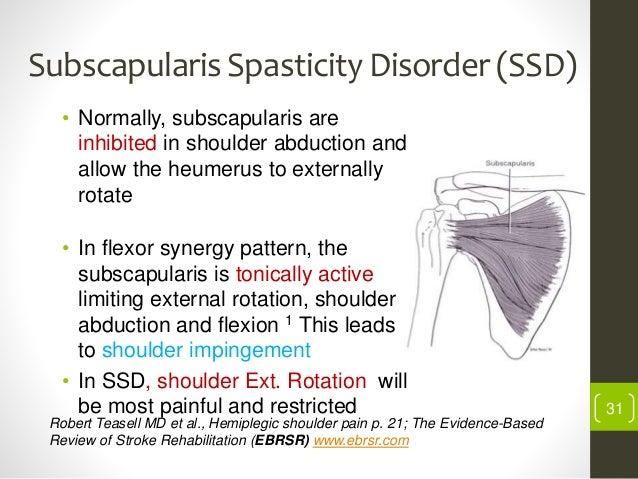 Shoulder in hemiplegia