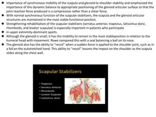 Shoulder instability-1.pptx