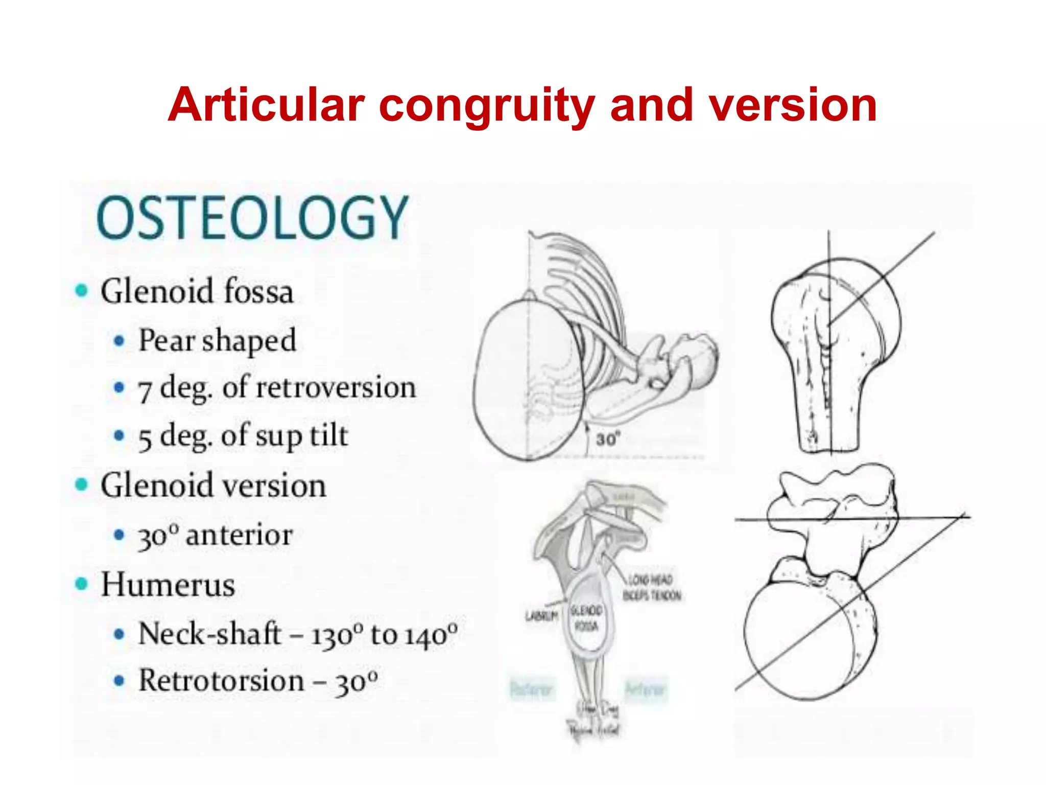 Articular congruity and version
 