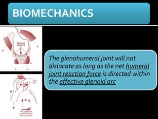 BIOMECHANICS
The glenohumeral joint will not
dislocate as long as the net humeral
joint reaction force is directed within
the effective glenoid arc
 