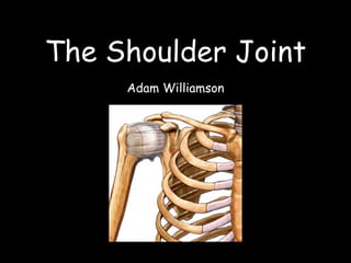 The Shoulder Joint
     Adam Williamson
 