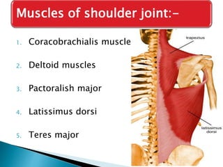 Muscles of shoulder joint:- 
1. Coracobrachialis muscle 
2. Deltoid muscles 
3. Pactoralish major 
4. Latissimus dorsi 
5. Teres major 
 