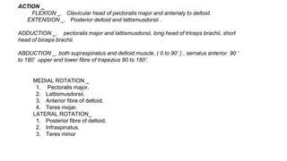 ACTION _
FLEXION _. Clavicular head of pectoralis major and anterialy to deltoid.
EXTENSION _. Posterior deltoid and lattismusdorsii .
ADDUCTION _. pectoralis major and lattismusdorsii, long head of triceps brachii, short
head of biceps brachii.
ABDUCTION _. both supraspinatus and deltoid muscle, ( 0 to 90’ ) , serratus anterior 90 ‘
to 180’ upper and lower fibre of trapezius 90 to 180’.
MEDIAL ROTATION _
1. Pectoralis major.
2. Lattismusdorsii.
3. Anterior fibre of deltoid.
4. Teres mojar.
LATERAL ROTATION_
1. Posterior fibre of deltoid.
2. Infraspinatus.
3. Teres minor
 