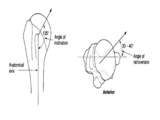 Shoulder joint BIOMECHANICS. | PDF