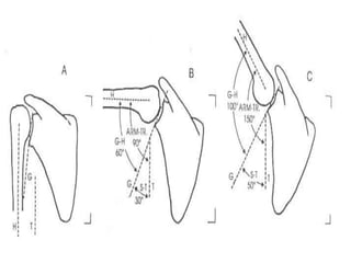 Shoulder joint BIOMECHANICS. | PDF