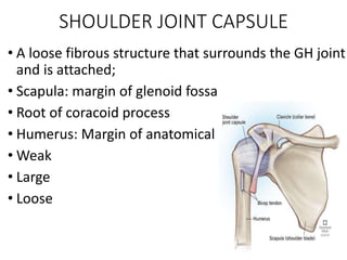 SHOULDER JOINT ASSESSMENT AND ADHESIVE CAPSULITIS PPT BY KISHWER JAHAN ...