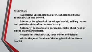 RELATIONS:
Superiorly: Coracoacromial arch, subacromial bursa,
supraspinatus and deltoid.
Inferiorly: Long head of the triceps brachii, axillary nerves
and posterior circumflex humeral artery.
Anteriorly: Subscapularis, coracobrachialis, short head of
biceps brachii and deltoid.
Posteriorly: Infraspinatus, teres minor and deltoid.
Within the joint: Tendon of the long head of the biceps
brachii.
 