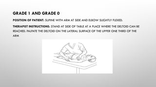 GRADE 1 AND GRADE 0
POSITION OF PATIENT: SUPINE WITH ARM AT SIDE AND ELBOW SLIGHTLY FLEXED.
THERAPIST INSTRUCTIONS: STAND AT SIDE OF TABLE AT A PLACE WHERE THE DELTOID CAN BE
REACHED. PALPATE THE DELTOID ON THE LATERAL SURFACE OF THE UPPER ONE THIRD OF THE
ARM
 