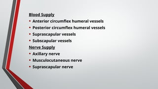 Blood Supply
• Anterior circumflex humeral vessels
• Posterior circumflex humeral vessels
• Suprascapular vessels
• Subscapular vessels
Nerve Supply
• Axillary nerve
• Musculocutaneous nerve
• Suprascapular nerve
 