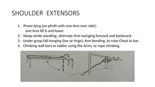 SHOULDER EXTENSORS
1. Prone lying (on plinth with one Arm over side);
one Arm lift b and lower.
2. Stoop stride standing; alternate Arm swinging forward and backward.
3. Under grasp fall hanging (bar or rings); Arm bending, to raise Chest to bar.
4. Climbing wall-bars or ladder using the Arms, or rope climbing.
 