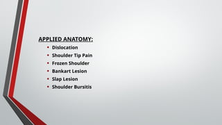 APPLIED ANATOMY:
• Dislocation
• Shoulder Tip Pain
• Frozen Shoulder
• Bankart Lesion
• Slap Lesion
• Shoulder Bursitis
 