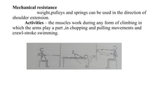 Mechanical resistance
weight,pulleys and springs can be used in the direction of
shoulder extension.
Activities – the muscles work during any form of climbing in
which the arms play a part ,in chopping and pulling movements and
crawl-stroke swimming.
 