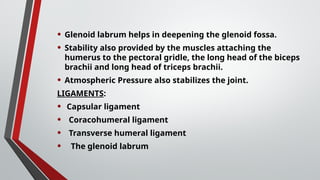 • Glenoid labrum helps in deepening the glenoid fossa.
• Stability also provided by the muscles attaching the
humerus to the pectoral gridle, the long head of the biceps
brachii and long head of triceps brachii.
• Atmospheric Pressure also stabilizes the joint.
LIGAMENTS:
• Capsular ligament
• Coracohumeral ligament
• Transverse humeral ligament
• The glenoid labrum
 