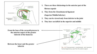 Greater Multangular Joint SHOULDER JOINT COMPLEX.pptx.............. | PPTX
