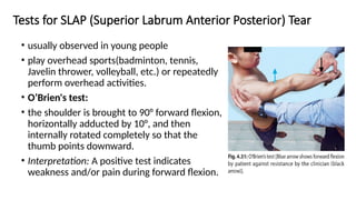Labrum Test Comprehensive Shoulder Joint Examination and Pathology Assessment | PPTX