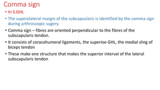 Comma sign
• In S.GHL
• The superolateral margin of the subcapsularis is identified by the comma sign
during arthroscopic sugery.
• Comma sign – fibres are oriented perpendicular to the fibres of the
subscapularis tendon.
• It consists of coracohumeral ligaments, the superioe GHL, the medial sling of
biceps tendon
• These make one structure that makes the superior interval of the lateral
subscapularis tendon
 