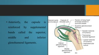 Shoulder joint_nursing.pptx