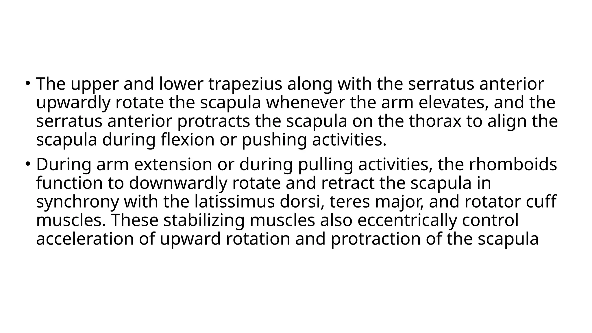 • The upper and lower trapezius along with the serratus anterior
upwardly rotate the scapula whenever the arm elevates, and the
serratus anterior protracts the scapula on the thorax to align the
scapula during flexion or pushing activities.
• During arm extension or during pulling activities, the rhomboids
function to downwardly rotate and retract the scapula in
synchrony with the latissimus dorsi, teres major, and rotator cuff
muscles. These stabilizing muscles also eccentrically control
acceleration of upward rotation and protraction of the scapula
 