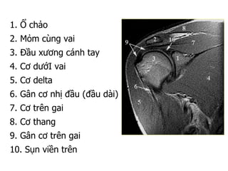 1. Ổ chảo
2. Mỏm cùng vai
3. Đầu xương cánh tay
4. Cơ dướI vai
5. Cơ delta
6. Gân cơ nhị đầu (đầu dài)
7. Cơ trên gai
8. Cơ thang
9. Gân cơ trên gai
10. Sụn viền trên
 