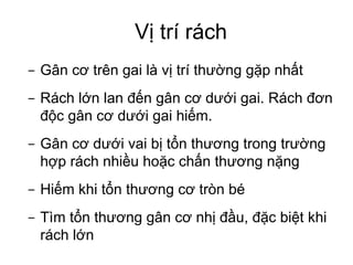 Vị trí rách
- Gân cơ trên gai là vị trí thường gặp nhất
- Rách lớn lan đến gân cơ dưới gai. Rách đơn
độc gân cơ dưới gai hiếm.
- Gân cơ dưới vai bị tổn thương trong trường
hợp rách nhiều hoặc chấn thương nặng
- Hiếm khi tổn thương cơ tròn bé
- Tìm tổn thương gân cơ nhị đầu, đặc biệt khi
rách lớn
 