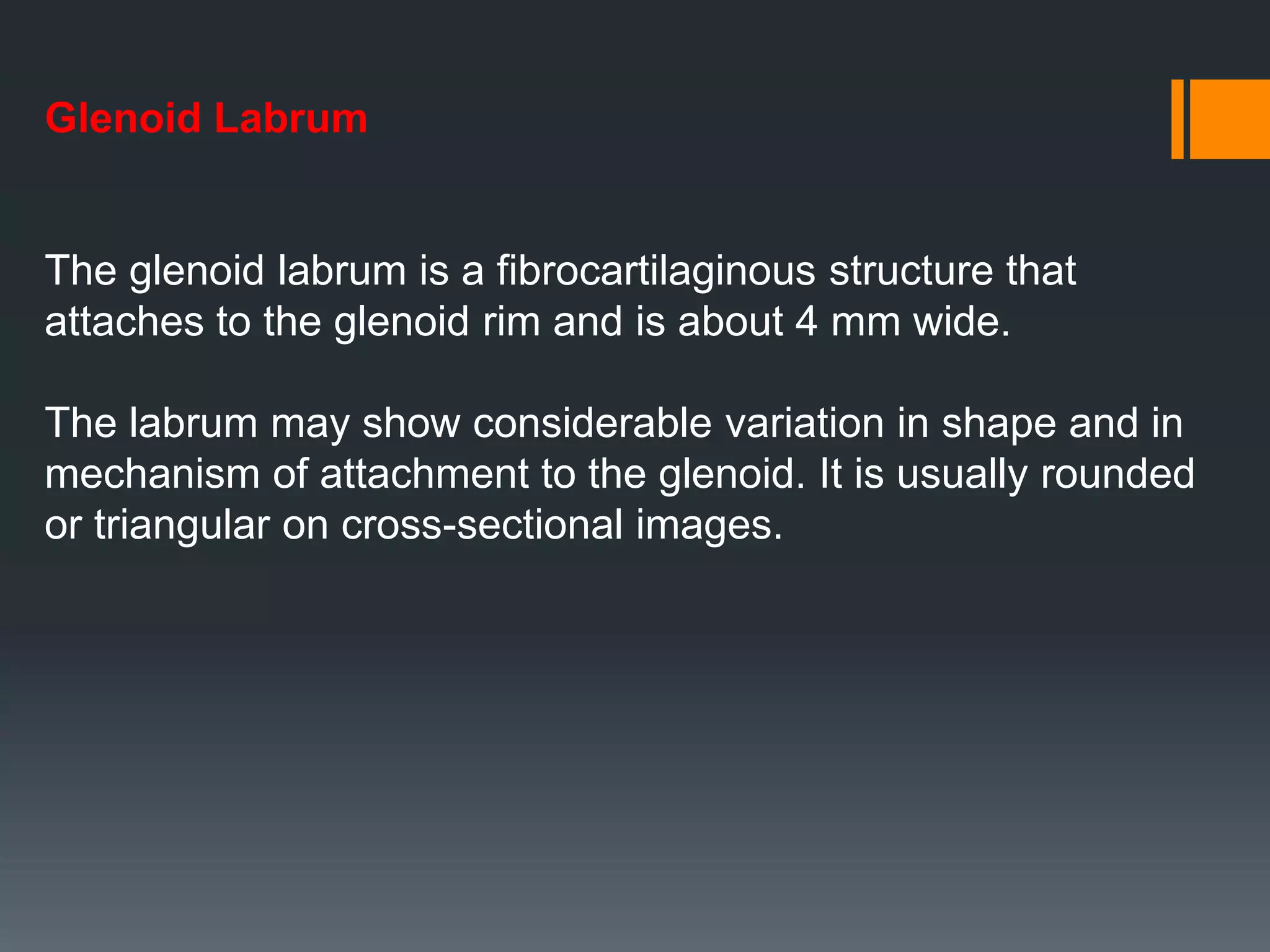 Glenoid Labrum
The glenoid labrum is a fibrocartilaginous structure that
attaches to the glenoid rim and is about 4 mm wide.
The labrum may show considerable variation in shape and in
mechanism of attachment to the glenoid. It is usually rounded
or triangular on cross-sectional images.
 