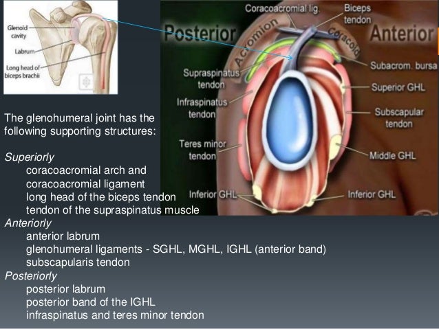 Shoulder labral tears MRI