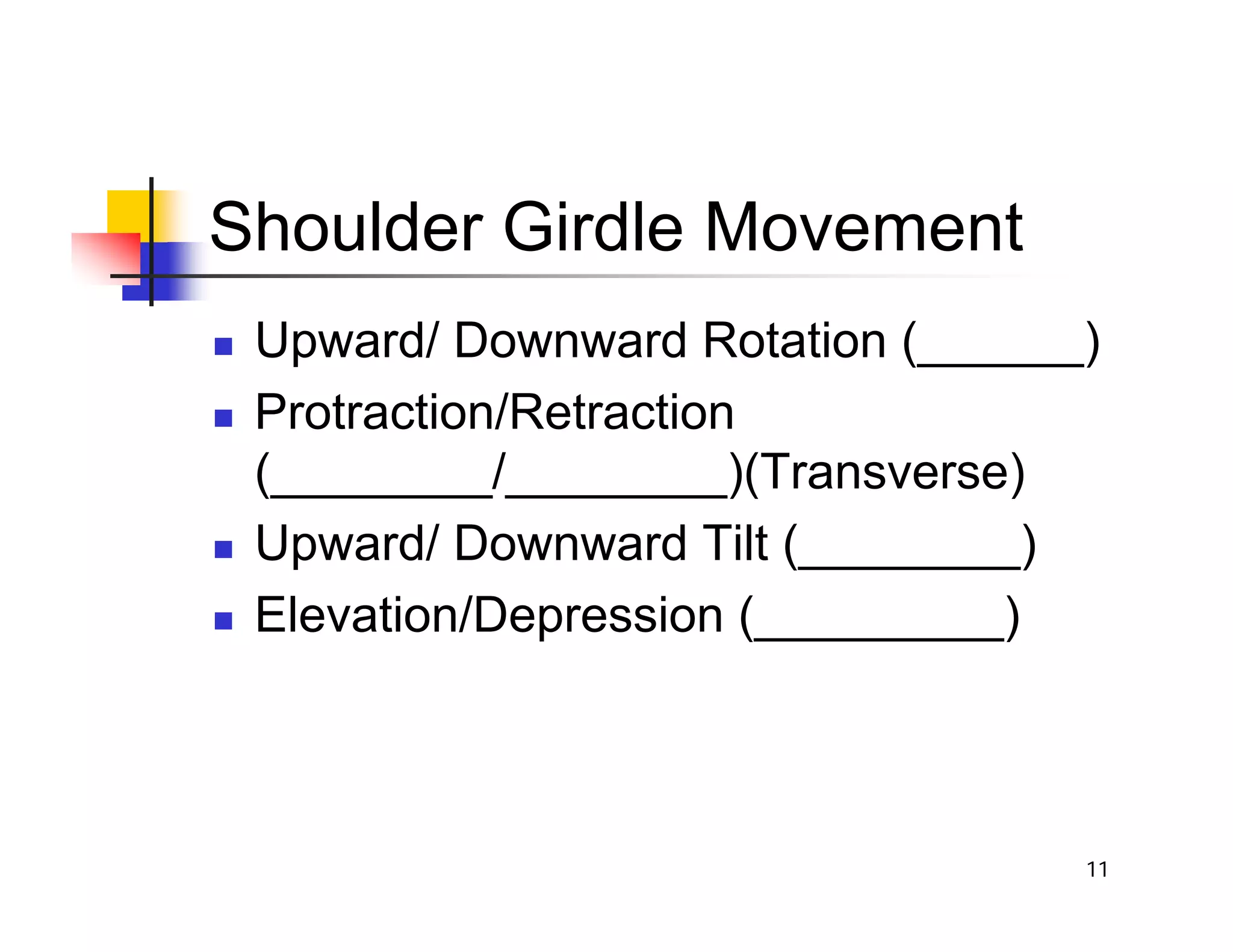 11
Shoulder Girdle Movement
„ Upward/ Downward Rotation (______)
„ Protraction/Retraction
(________/________)(Transverse)
„ Upward/ Downward Tilt (________)
„ Elevation/Depression (_________)
 