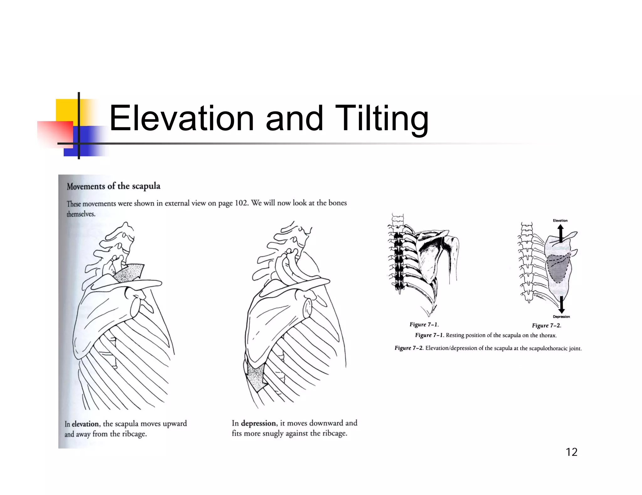 12
Elevation and Tilting
 