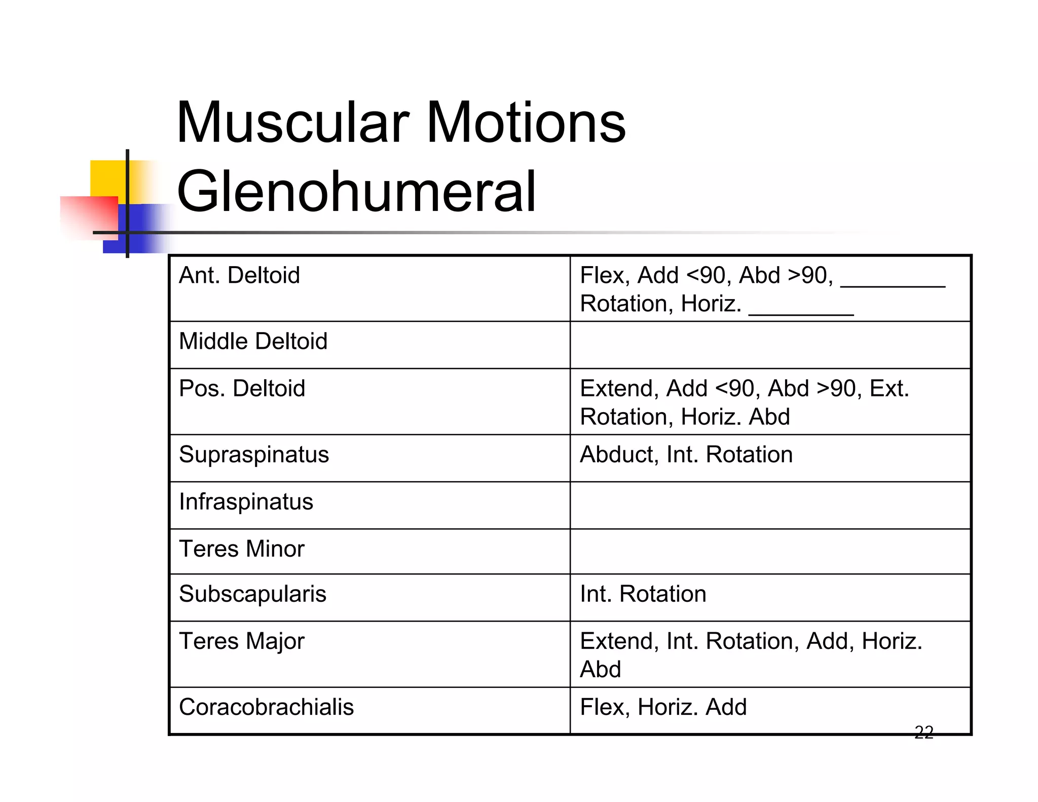 22
Muscular Motions
Glenohumeral
Flex, Horiz. Add
Coracobrachialis
Extend, Int. Rotation, Add, Horiz.
Abd
Teres Major
Int. Rotation
Subscapularis
Teres Minor
Infraspinatus
Abduct, Int. Rotation
Supraspinatus
Extend, Add <90, Abd >90, Ext.
Rotation, Horiz. Abd
Pos. Deltoid
Middle Deltoid
Flex, Add <90, Abd >90, ________
Rotation, Horiz. ________
Ant. Deltoid
 