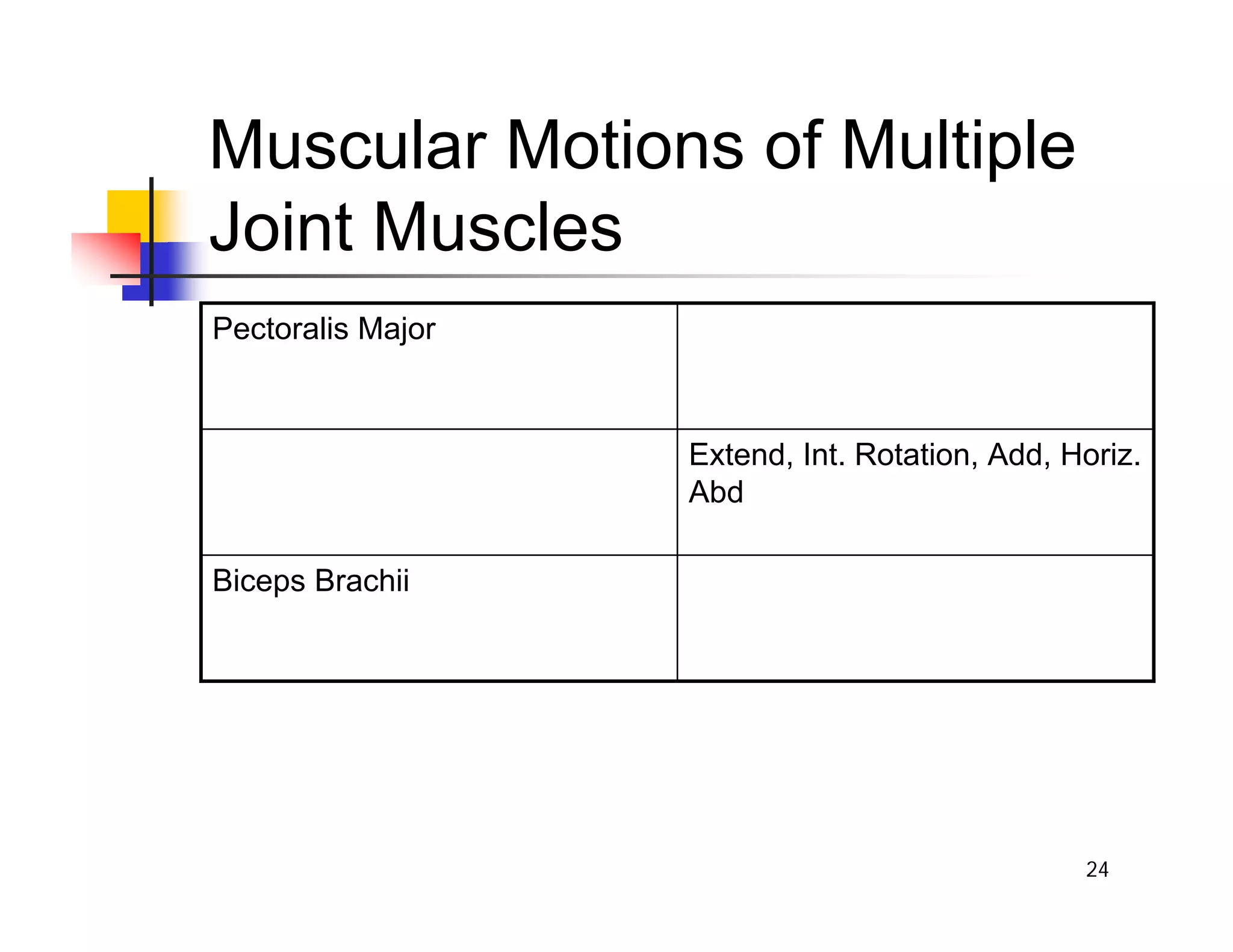 24
Muscular Motions of Multiple
Joint Muscles
Biceps Brachii
Extend, Int. Rotation, Add, Horiz.
Abd
Pectoralis Major
 