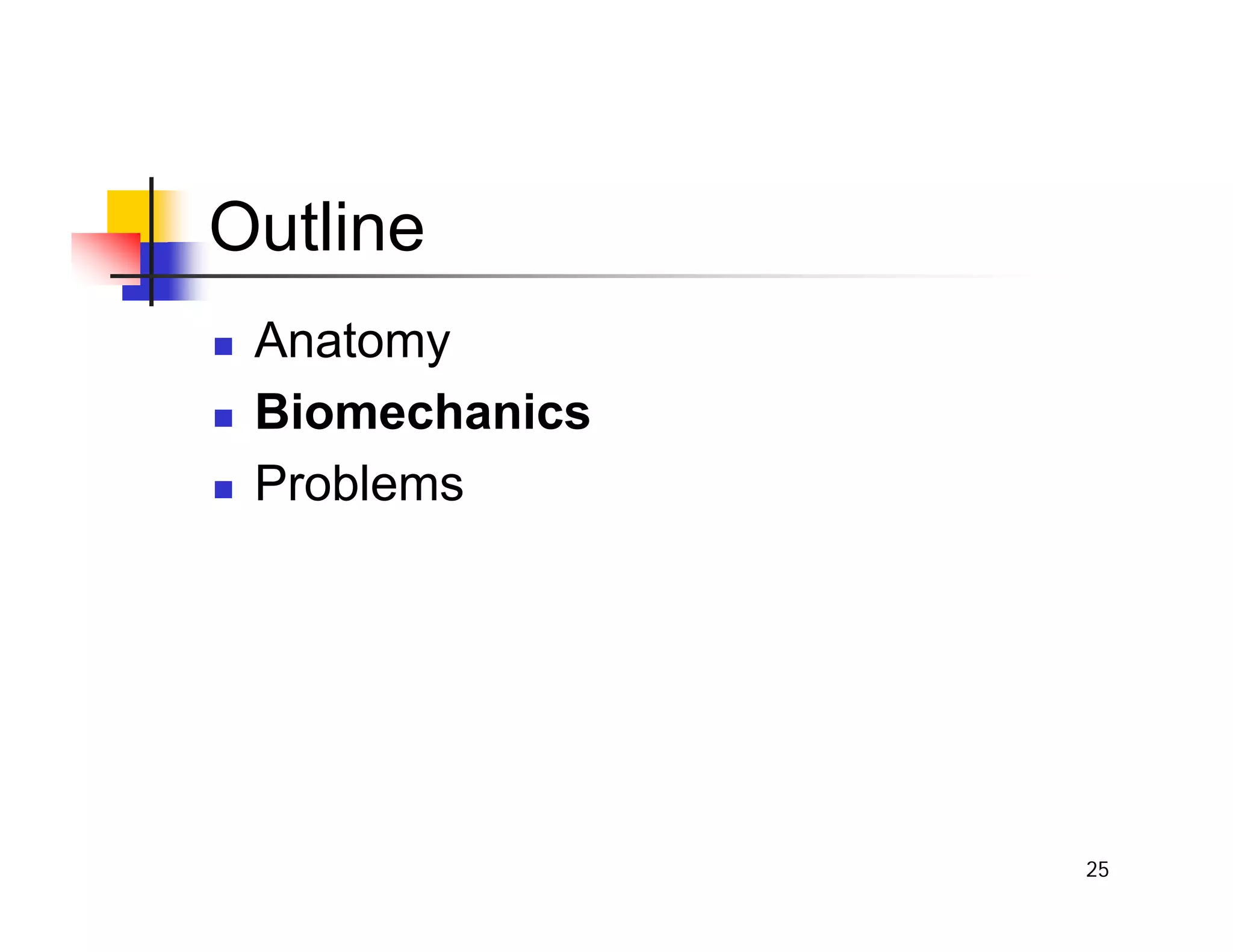 25
Outline
„ Anatomy
„ Biomechanics
„ Problems
 