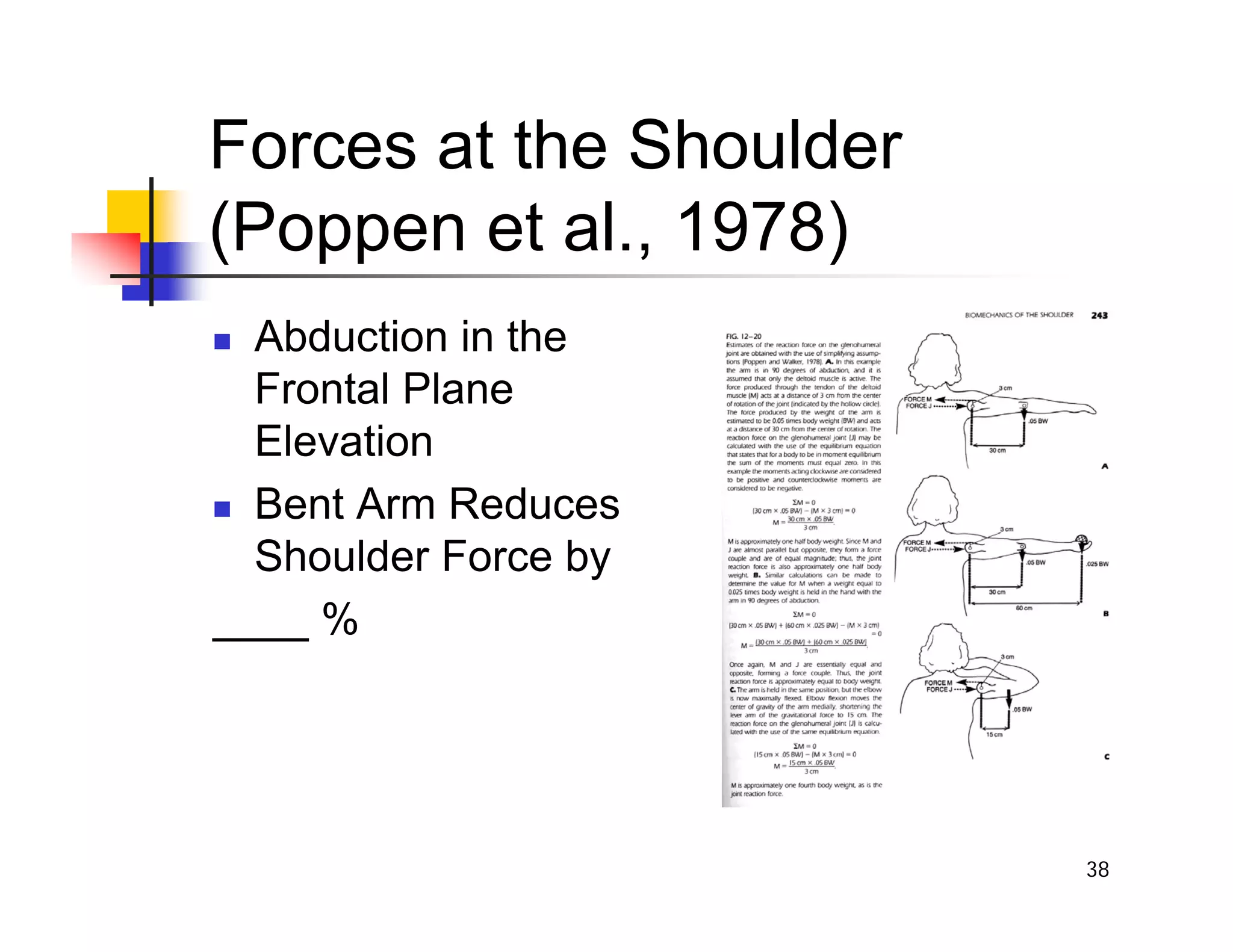 38
Forces at the Shoulder
(Poppen et al., 1978)
„ Abduction in the
Frontal Plane
Elevation
„ Bent Arm Reduces
Shoulder Force by
%
 